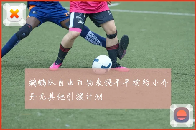 鹈鹕队自由市场表现平平续约小乔丹无其他引援计划